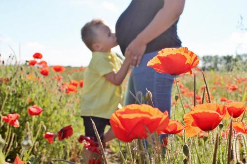 243016032_502177954544053_3915374321235803879_n